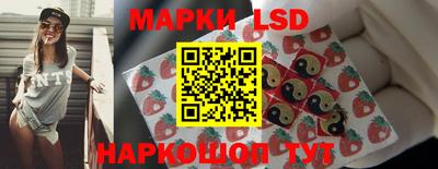 jwh Бийск