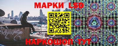 jwh Бийск
