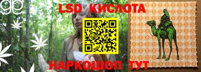 jwh Бийск