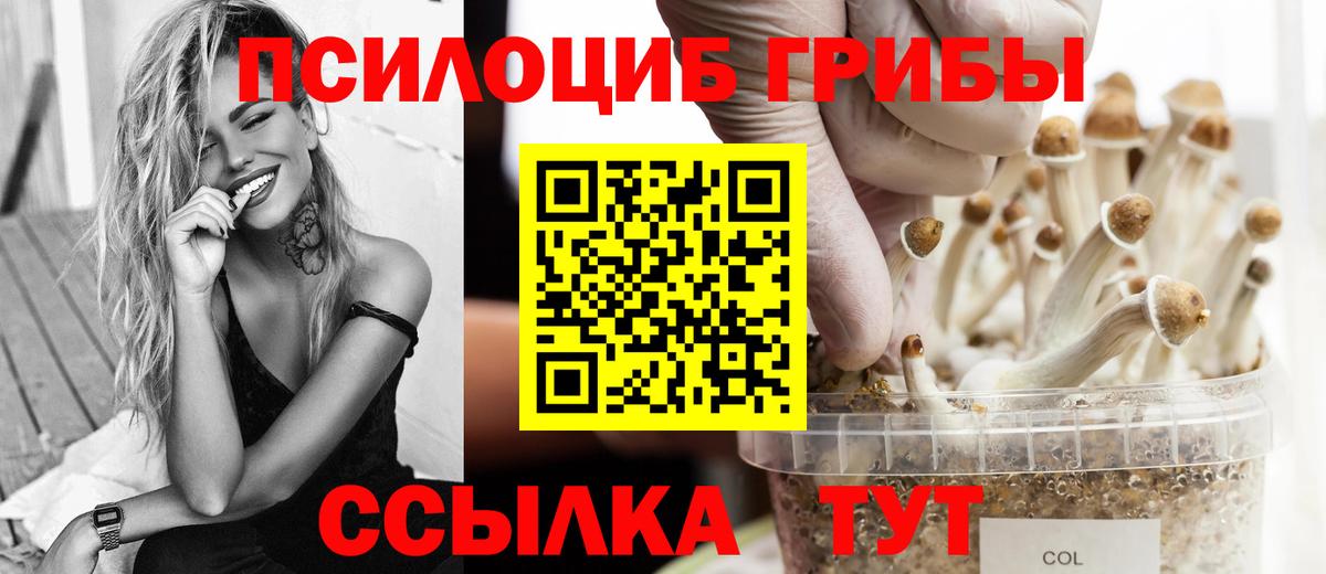 Галлюциногенные грибы мицелий Воронеж