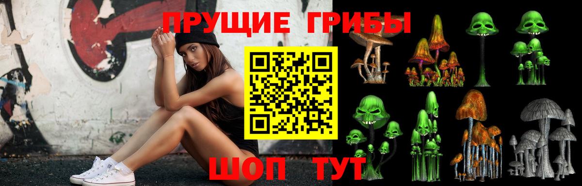 Воронеж  Галлюциногенные грибы Psilocybine cubensis  Вход с VPN 